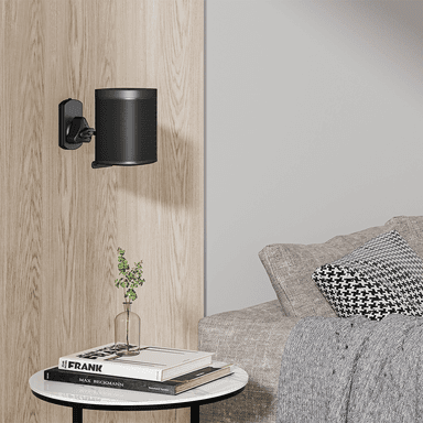 SH 38N Speaker Mount Scenery Image