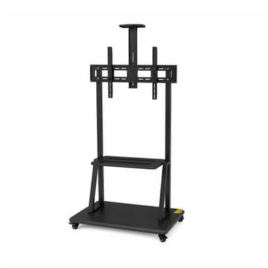 Side View of DG 110B FS TV Trolley