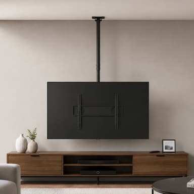 SH 44C TV Ceiling Mount Scenery Image