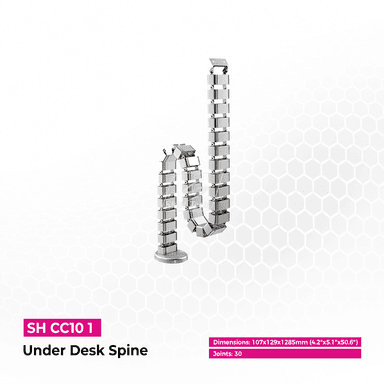 SH CC10 1 Under Desk Spine Writeup