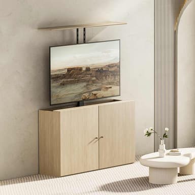 SH 48MX Motorized TV Lift Scenery Image