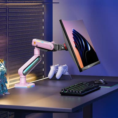 SH J6 Ergonomic Single Monitor Mount Scenery Image